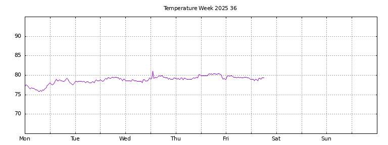 [Temperature this week graph]
