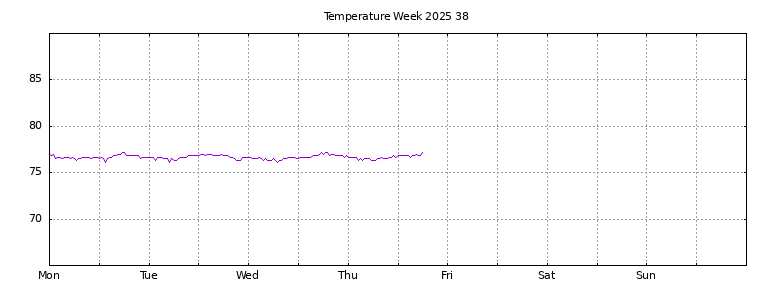 [Temperature this week graph]