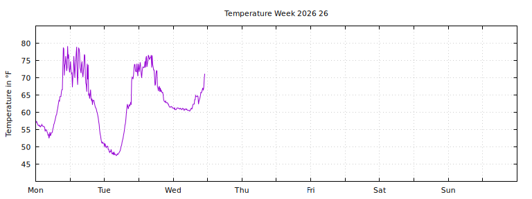 [Temperature this week graph]